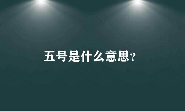 五号是什么意思？