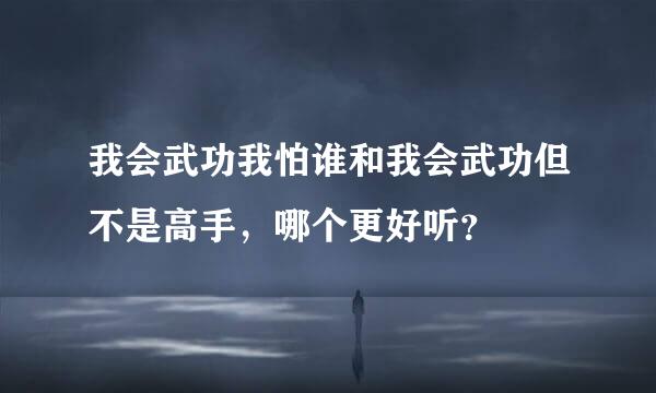 我会武功我怕谁和我会武功但不是高手，哪个更好听？