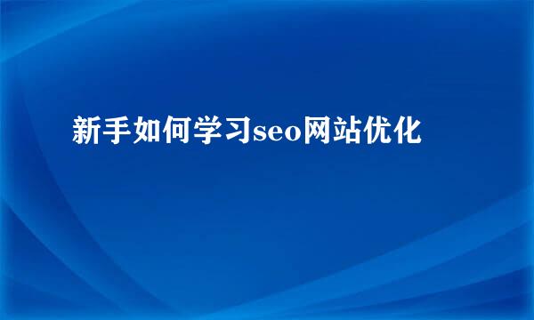 新手如何学习seo网站优化