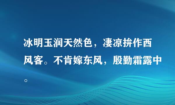 冰明玉润天然色，凄凉拚作西风客。不肯嫁东风，殷勤霜露中。