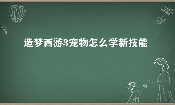 造梦西游3宠物怎么学新技能