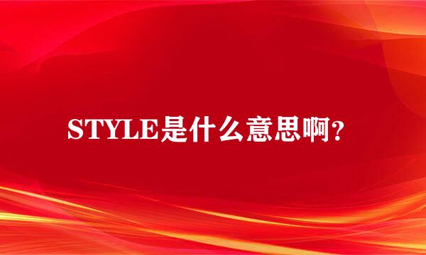 STYLE是什么意思啊？