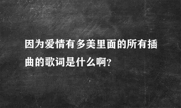 因为爱情有多美里面的所有插曲的歌词是什么啊？