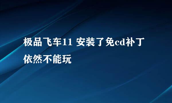 极品飞车11 安装了免cd补丁依然不能玩