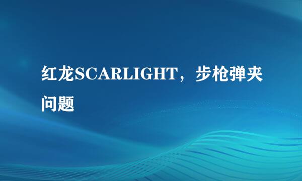 红龙SCARLIGHT，步枪弹夹问题