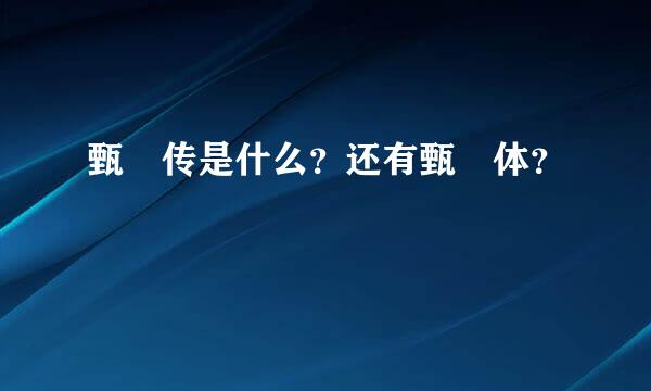 甄嬛传是什么？还有甄嬛体？