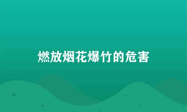 燃放烟花爆竹的危害