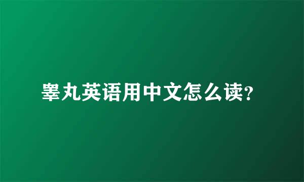 睾丸英语用中文怎么读？