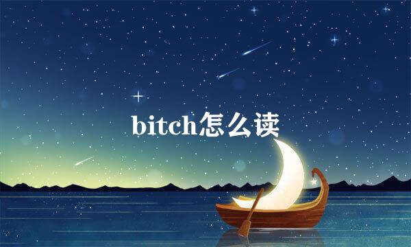 bitch怎么读