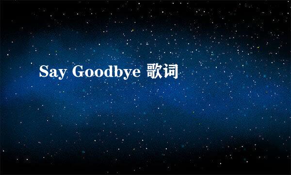 Say Goodbye 歌词