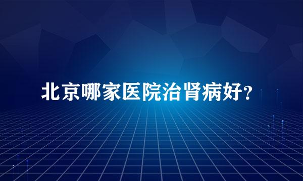 北京哪家医院治肾病好？