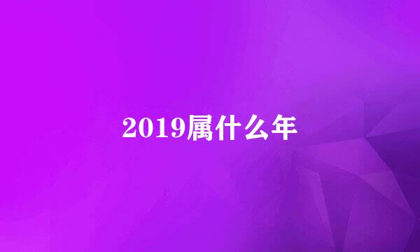 2019属什么年