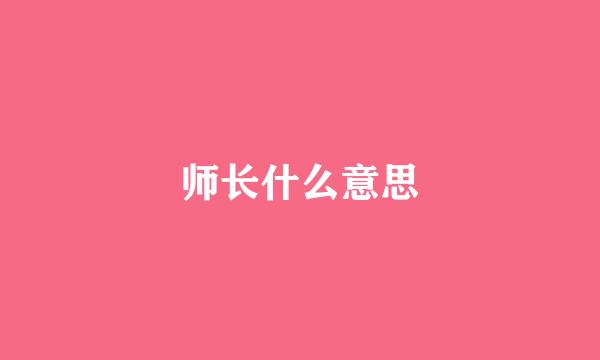 师长什么意思