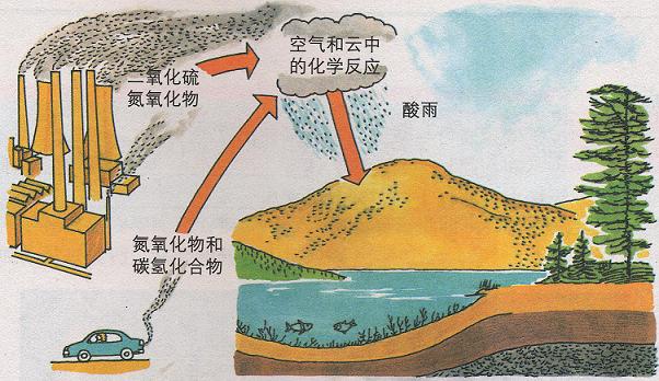 简述酸雨的成因，危害，提出防治的措施