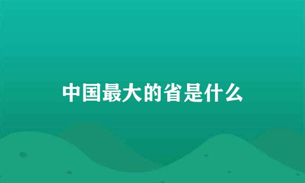 中国最大的省是什么