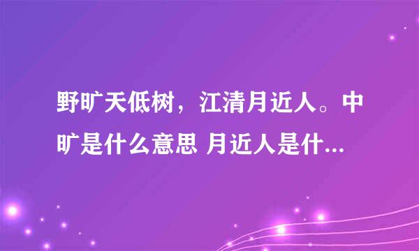 野旷天低树，江清月近人。中旷是什么意思 月近人是什么意思？