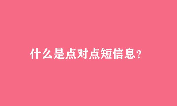 什么是点对点短信息？