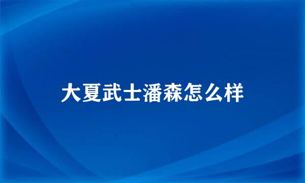 大夏武士潘森怎么样