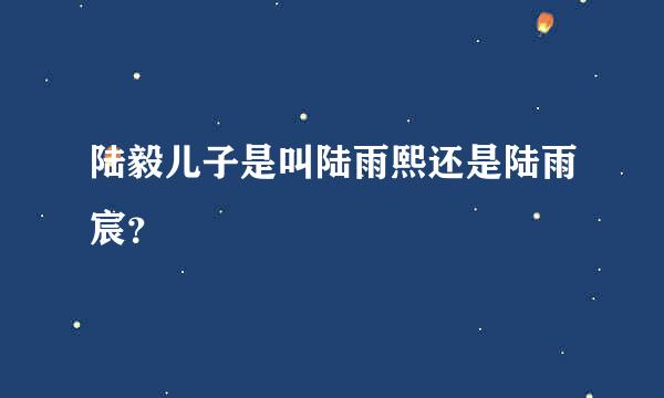 陆毅儿子是叫陆雨熙还是陆雨宸？