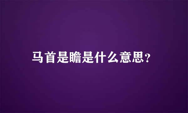 马首是瞻是什么意思？