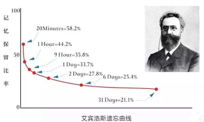 艾宾浩斯记忆法怎么用