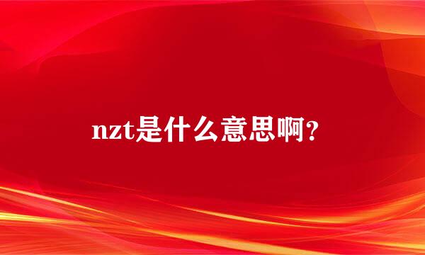 nzt是什么意思啊？