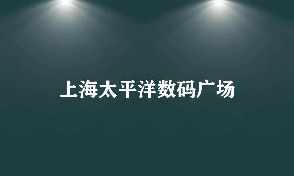 上海太平洋数码广场