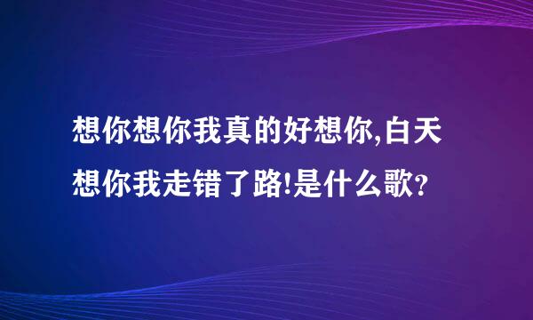 想你想你我真的好想你,白天想你我走错了路!是什么歌？