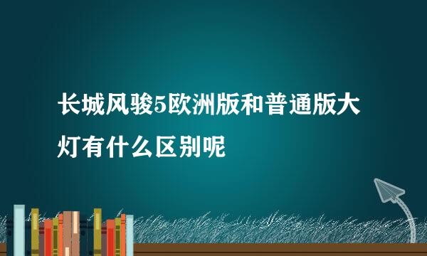 长城风骏5欧洲版和普通版大灯有什么区别呢