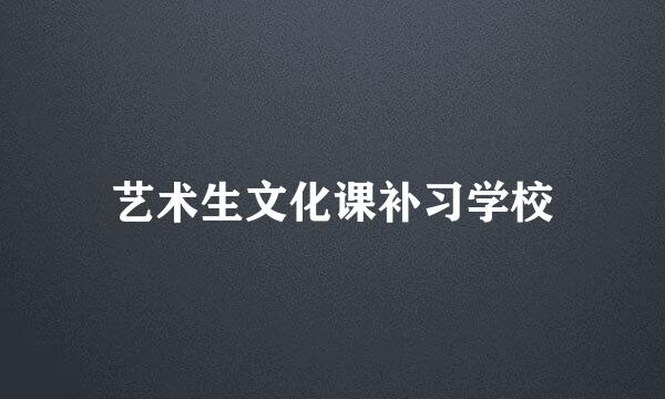 艺术生文化课补习学校