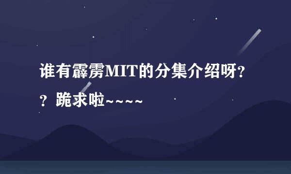 谁有霹雳MIT的分集介绍呀？？跪求啦~~~~