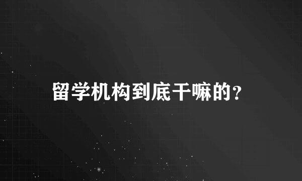 留学机构到底干嘛的？