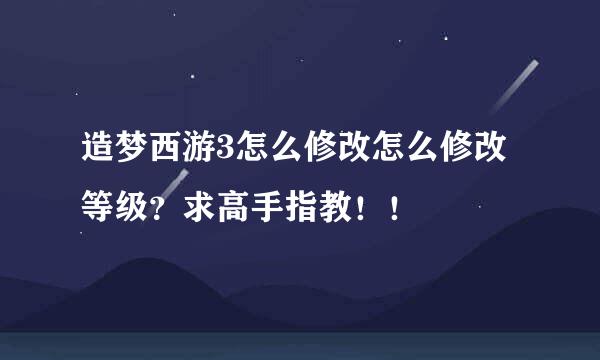 造梦西游3怎么修改怎么修改等级？求高手指教！！