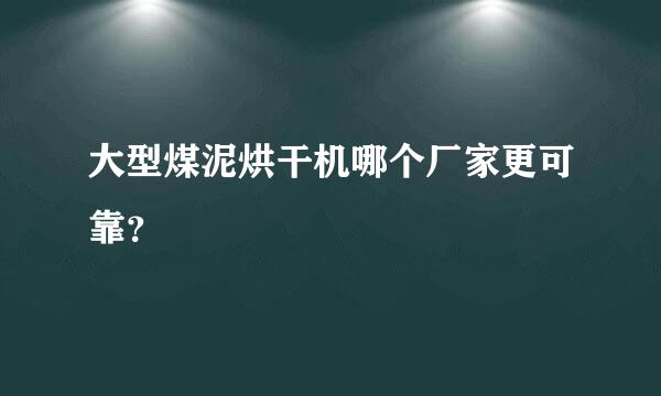 大型煤泥烘干机哪个厂家更可靠？