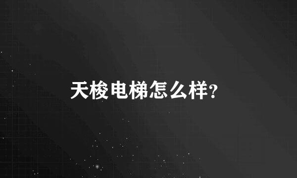 天梭电梯怎么样？