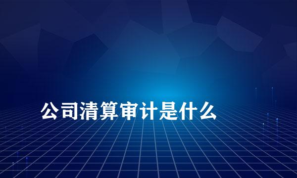 
公司清算审计是什么
