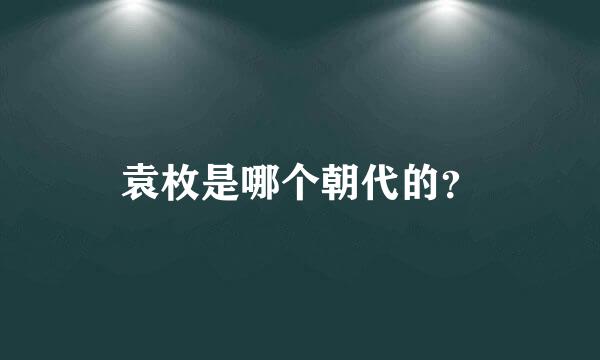 袁枚是哪个朝代的？