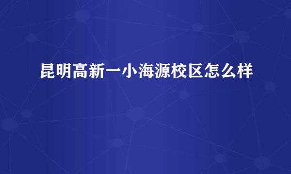 昆明高新一小海源校区怎么样