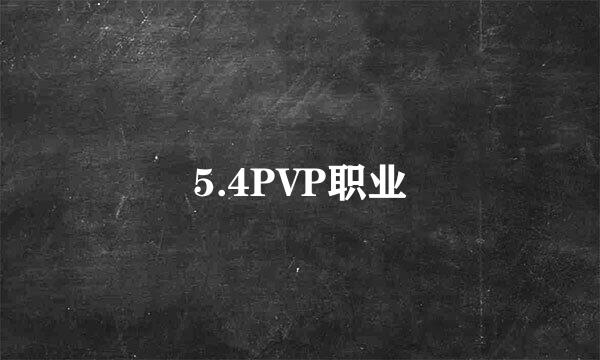 5.4PVP职业