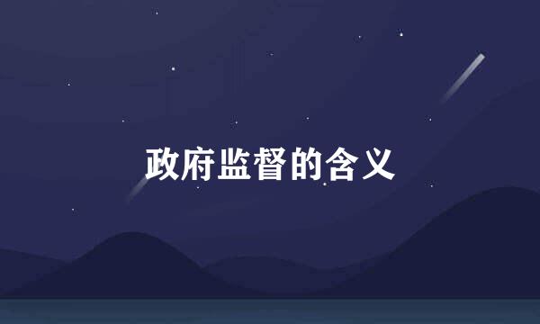 政府监督的含义