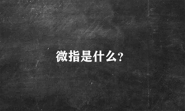 微指是什么？