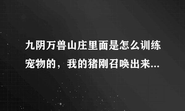 九阴万兽山庄里面是怎么训练宠物的，我的猪刚召唤出来，怎么能攻击我？