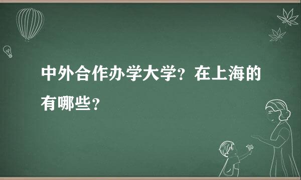 中外合作办学大学？在上海的有哪些？