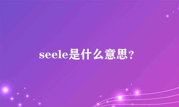 seele是什么意思？