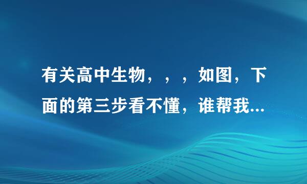 有关高中生物，，，如图，下面的第三步看不懂，谁帮我解释下，必定重赏