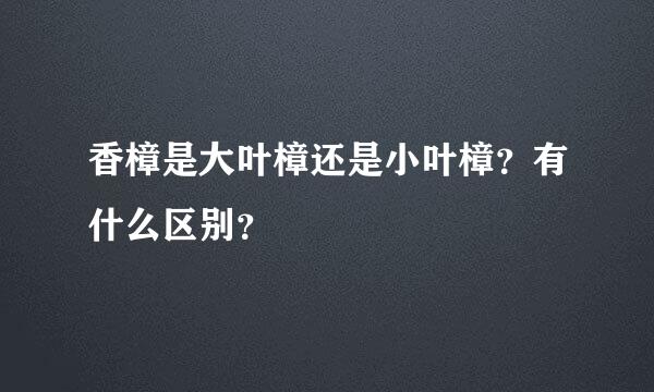 香樟是大叶樟还是小叶樟？有什么区别？