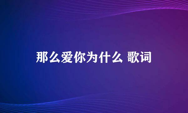 那么爱你为什么 歌词