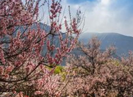 林芝必去的十大景点有哪些