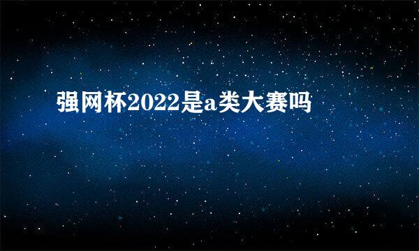 强网杯2022是a类大赛吗