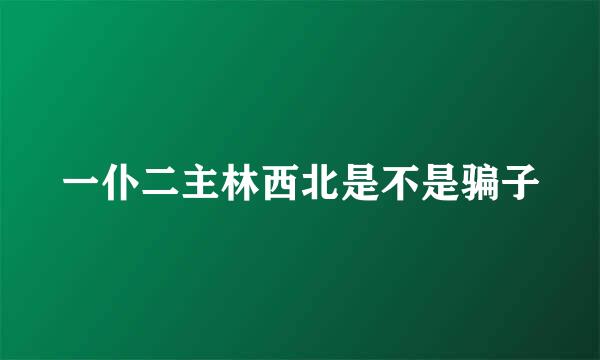 一仆二主林西北是不是骗子